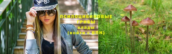 ешки Абинск