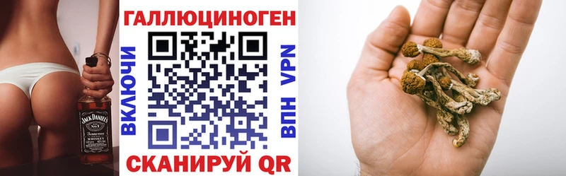 Псилоцибиновые грибы GOLDEN TEACHER  Среднеколымск 